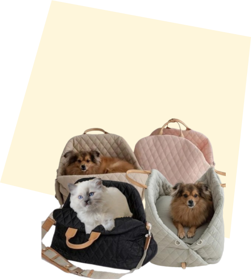 Leuke golfkartonnen kattenmeubels van het merk Cat-in-Box.